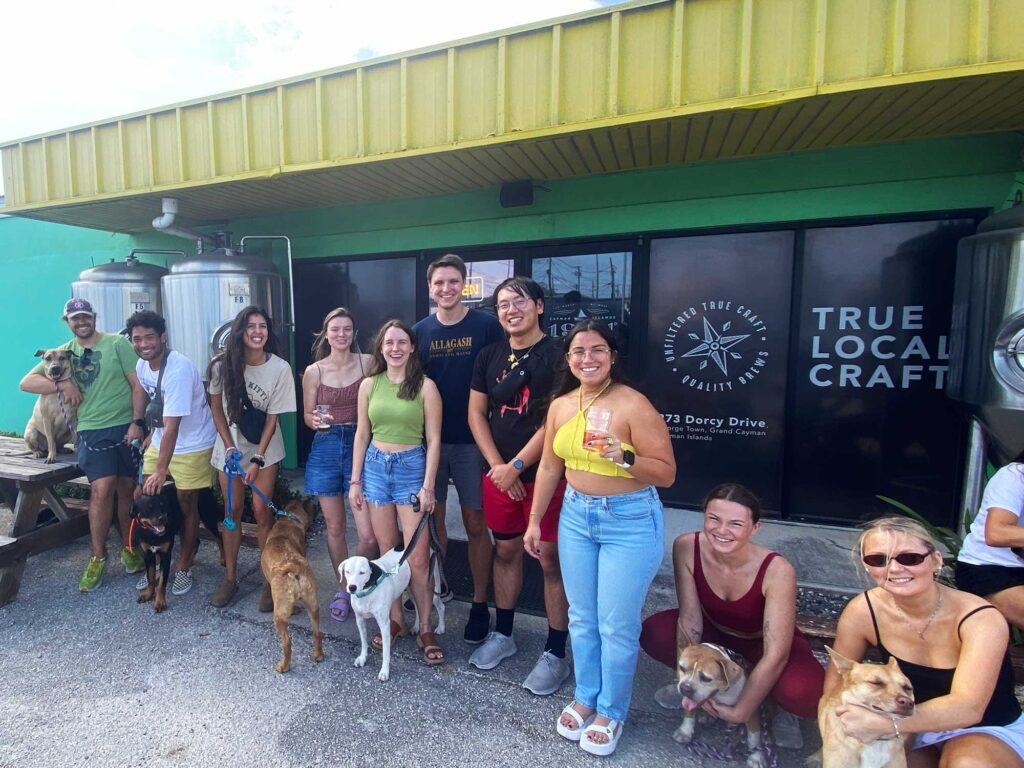 Group of veterinary students smiling and posing with dogs at 1981 Brewing Co. appreciation day in George Town, Cayman Islands.