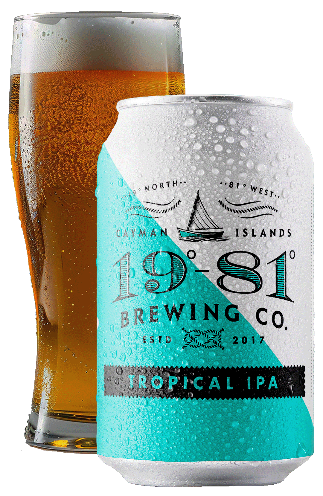 Tropical IPA — 19-81 Brewing Co.