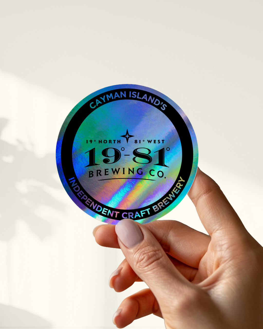 19-81 Sticker Pack