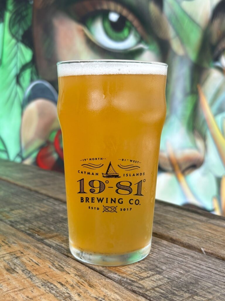 CLEMENTINA — 19-81 Brewing Co.